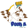 Peek A Boo!