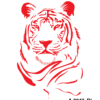 Tiger Line Art