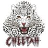 "Cheetah T-Shirt Design - Embrace Your Wild Side - Product Image"