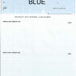 Blank Cheques<br>Computerized (Blue) (Box)