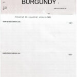 Blank Cheques<br>Computerized (Burgundy) (Box)