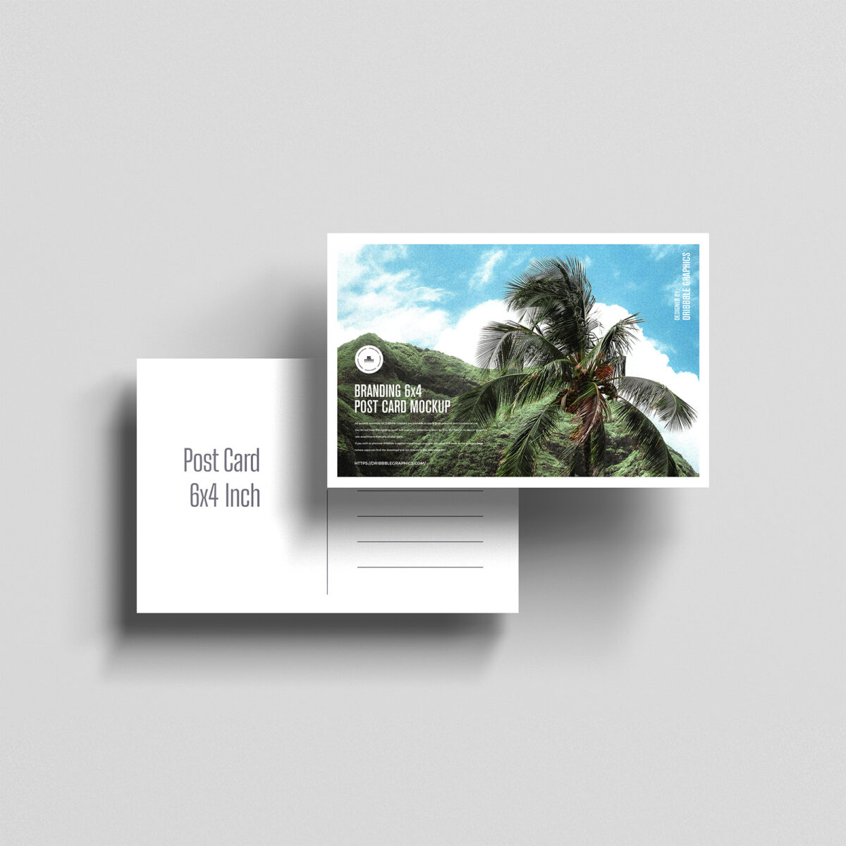 postcards, bee banner