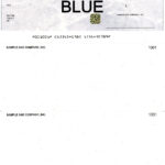 Blank Cheques<br>Computerized (Blue)<br>With Security (Box)