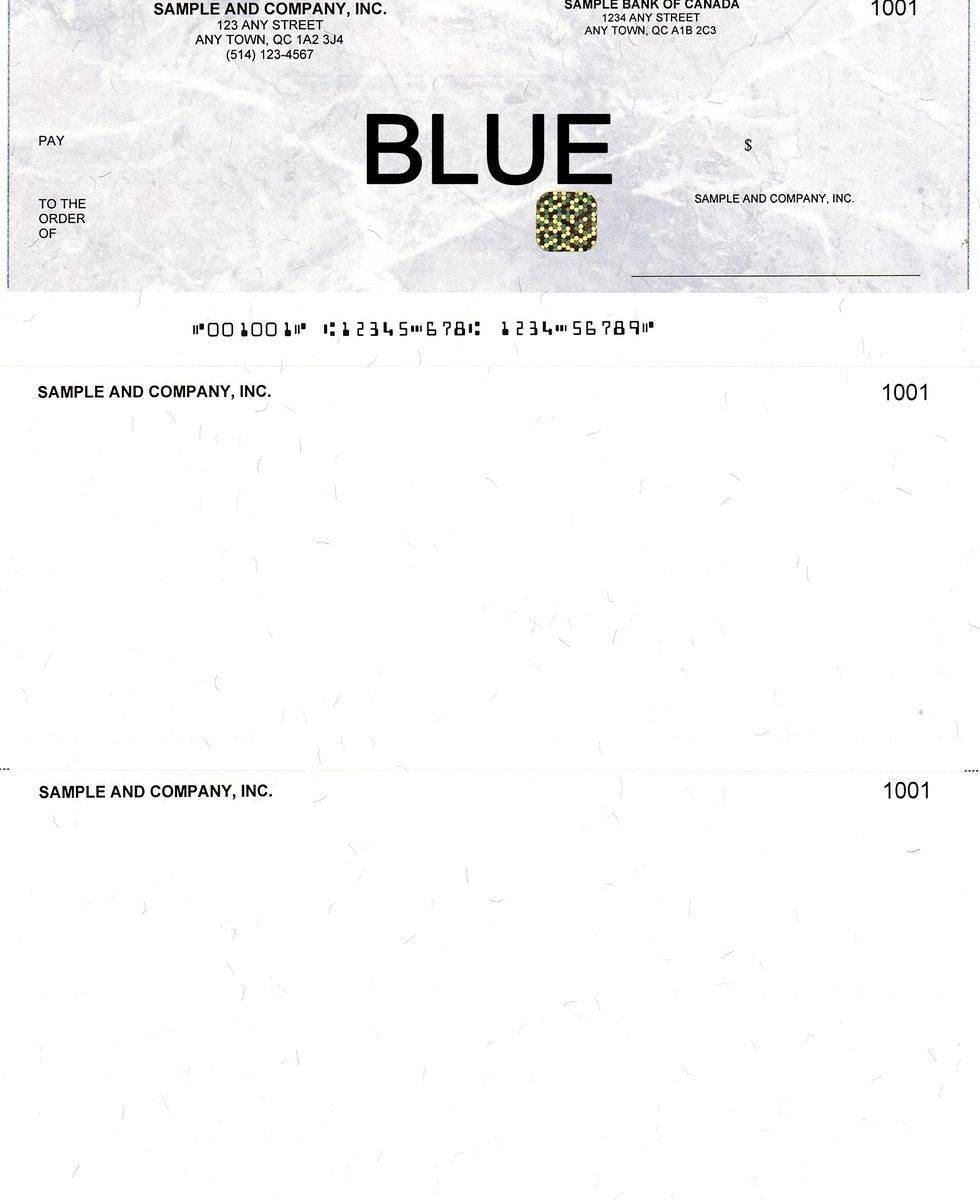 Blank Computerized Cheques Blue with Security Box,bee banner