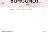 Blank Computerized Cheques Burgundy with Security Box,bee banner