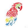 Parrot