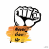 NEVER GIVE UP !
