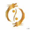 Chinese dragon yin-yang .