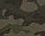 Forest Camo