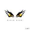 Eagle Eyes !