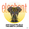 Elephant !